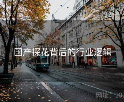 国产探花背后的行业逻辑