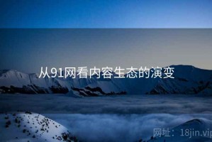 从91网看内容生态的演变