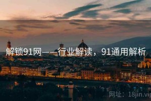 解锁91网——行业解读，91通用解析