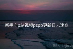 新手向p站视频pzpp更新日志速查