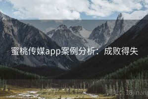 蜜桃传媒app案例分析：成败得失