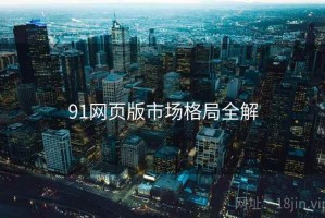 91网页版市场格局全解