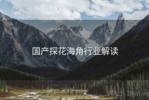 国产探花海角行业解读