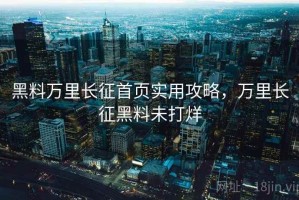 黑料万里长征首页实用攻略，万里长征黑料未打烊