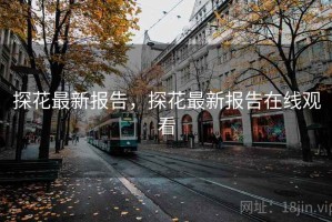 探花最新报告，探花最新报告在线观看