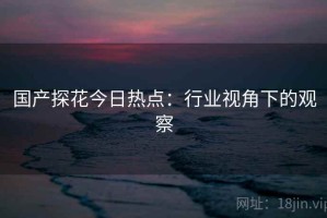 国产探花今日热点：行业视角下的观察
