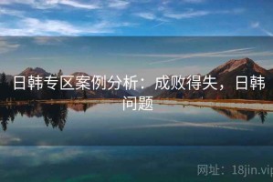 日韩专区案例分析：成败得失，日韩问题