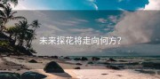 未来探花将走向何方？