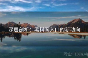 深层剖析：黑料网入口的新动向