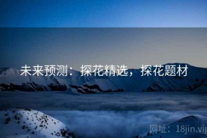 未来预测：探花精选，探花题材