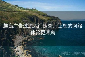 趣岛广告过滤入门速查：让您的网络体验更清爽