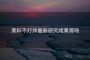 黑料不打烊最新研究成果揭晓