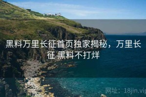 黑料万里长征首页独家揭秘，万里长征 黑料不打烊