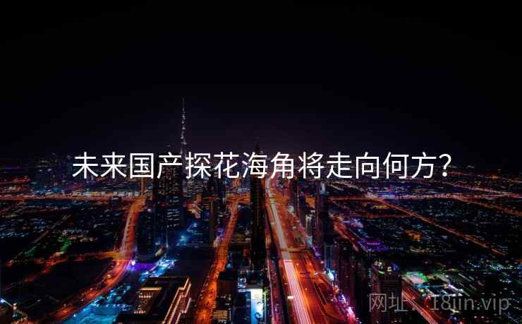 未来国产探花海角将走向何方？