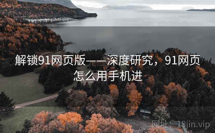 解锁91网页版——深度研究，91网页怎么用手机进