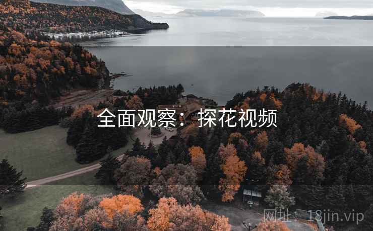 全面观察：探花视频