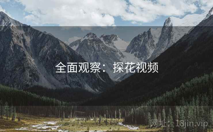 全面观察：探花视频