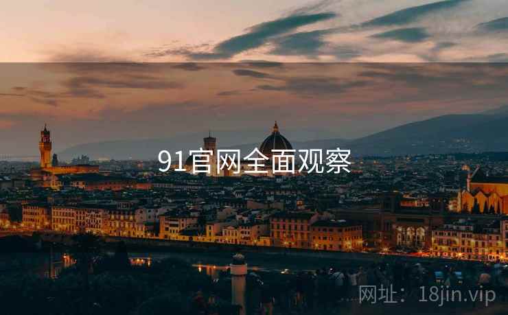 91官网全面观察