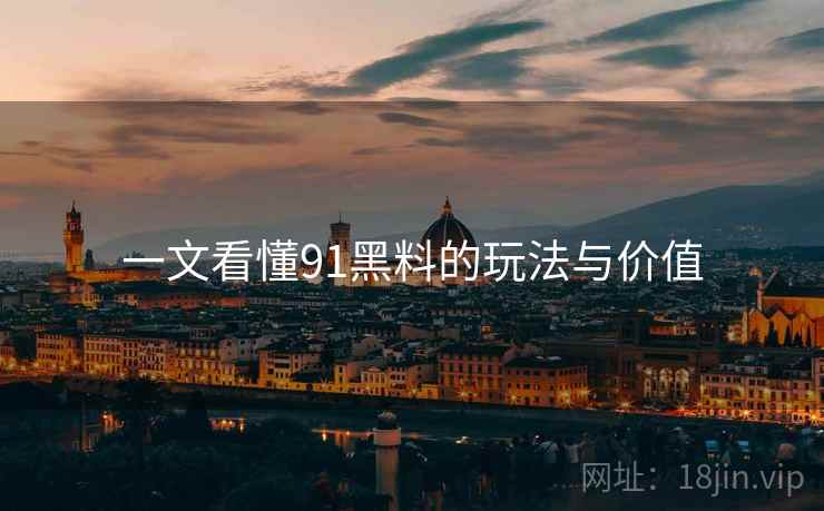 一文看懂91黑料的玩法与价值