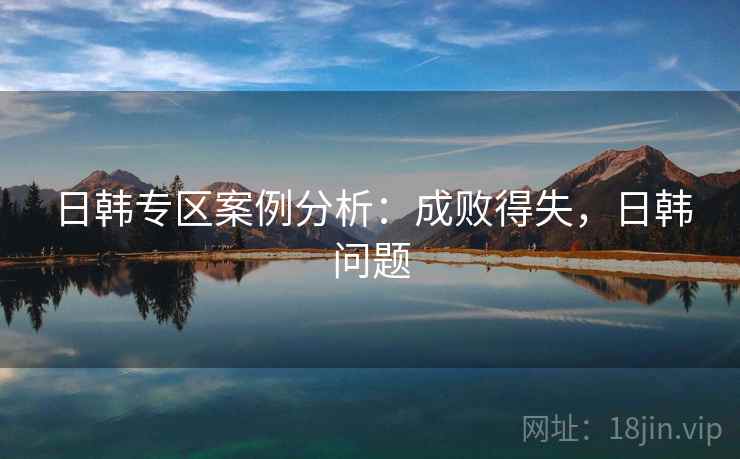 日韩专区案例分析：成败得失，日韩问题