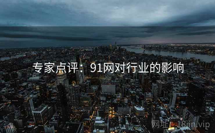 专家点评：91网对行业的影响