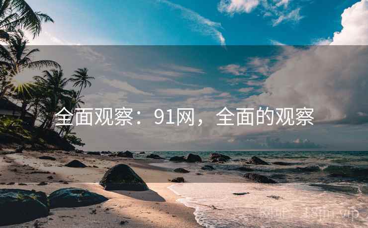 全面观察：91网，全面的观察