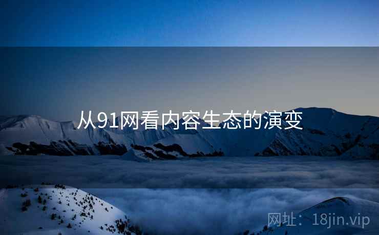 从91网看内容生态的演变