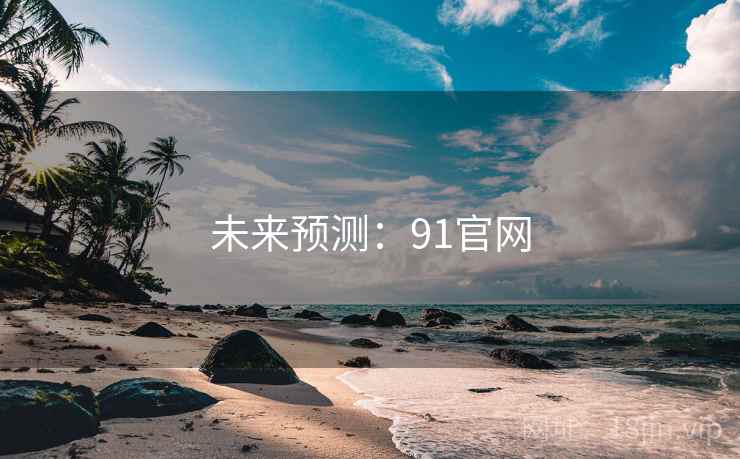 未来预测：91官网