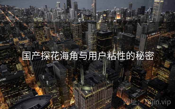 国产探花海角与用户粘性的秘密