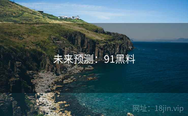 未来预测：91黑料