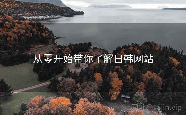 从零开始带你了解日韩网站