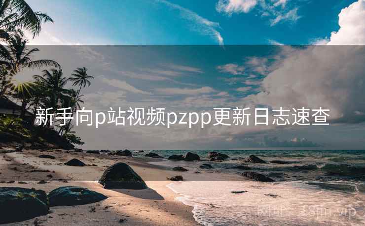 新手向p站视频pzpp更新日志速查