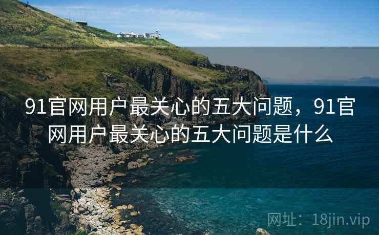 91官网用户最关心的五大问题，91官网用户最关心的五大问题是什么