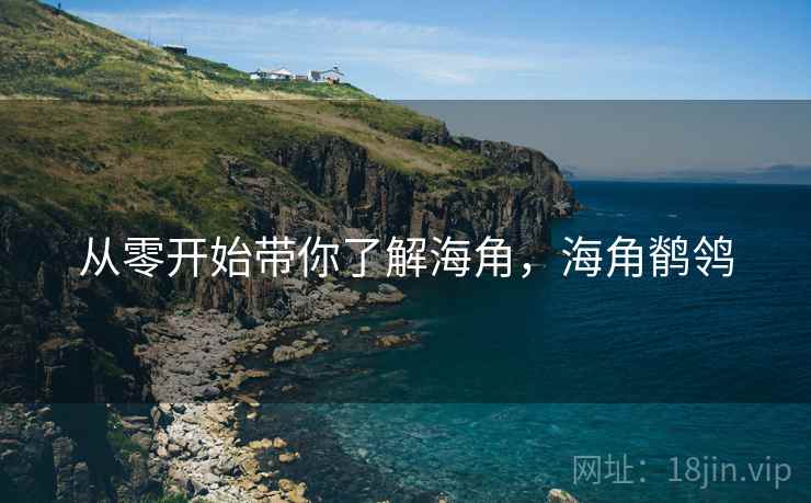 从零开始带你了解海角，海角鹡鸰