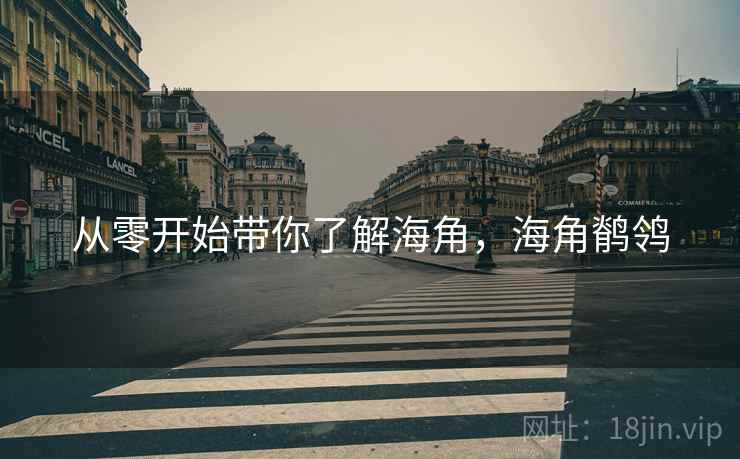 从零开始带你了解海角，海角鹡鸰