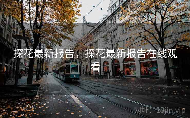 探花最新报告，探花最新报告在线观看