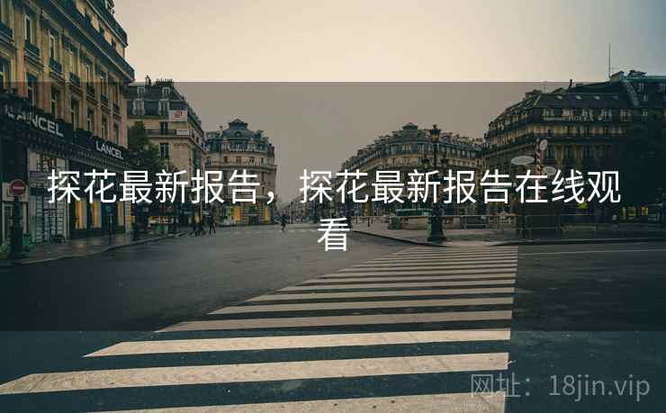 探花最新报告，探花最新报告在线观看