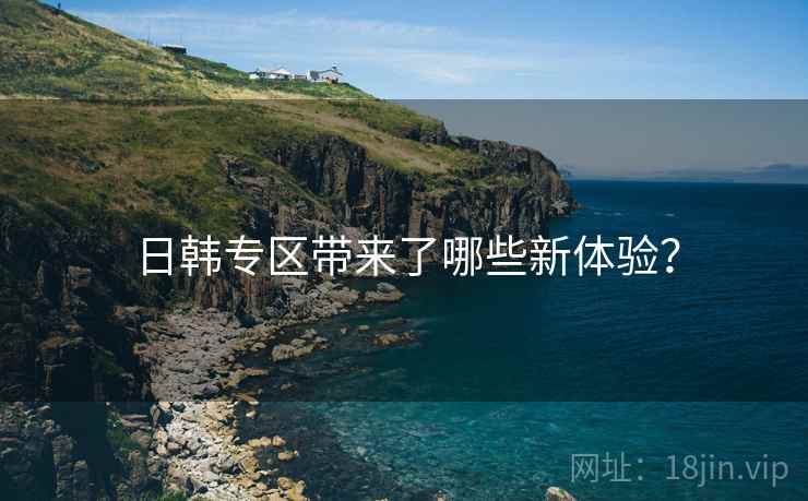 日韩专区带来了哪些新体验？