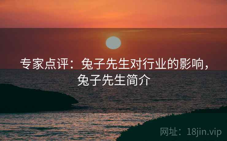 专家点评：兔子先生对行业的影响，兔子先生简介