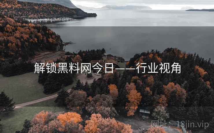 解锁黑料网今日——行业视角