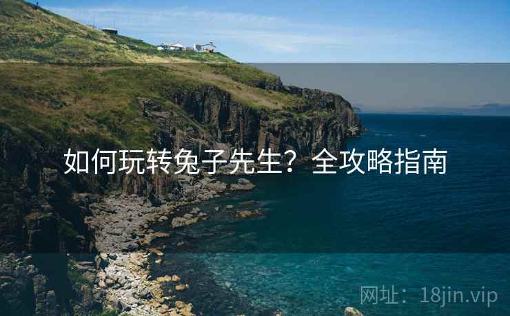 如何玩转兔子先生？全攻略指南