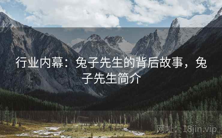 行业内幕：兔子先生的背后故事，兔子先生简介