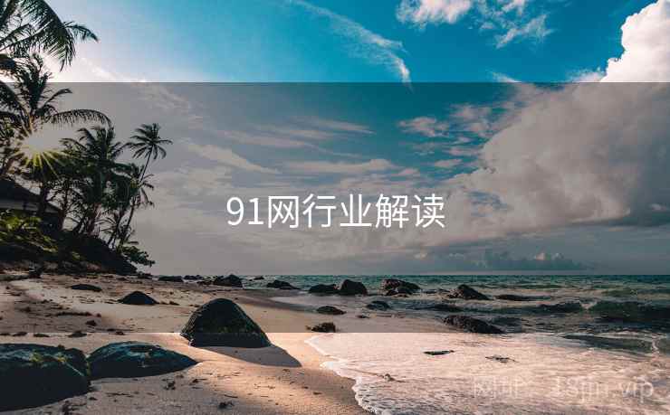 91网行业解读