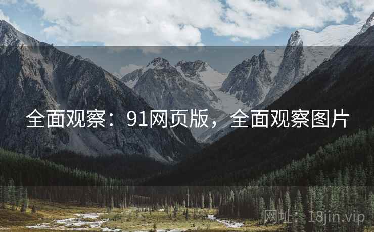 全面观察：91网页版，全面观察图片