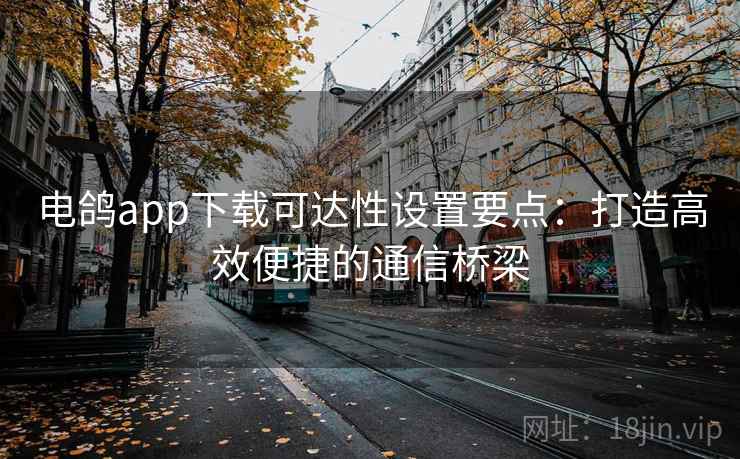 电鸽app下载可达性设置要点：打造高效便捷的通信桥梁