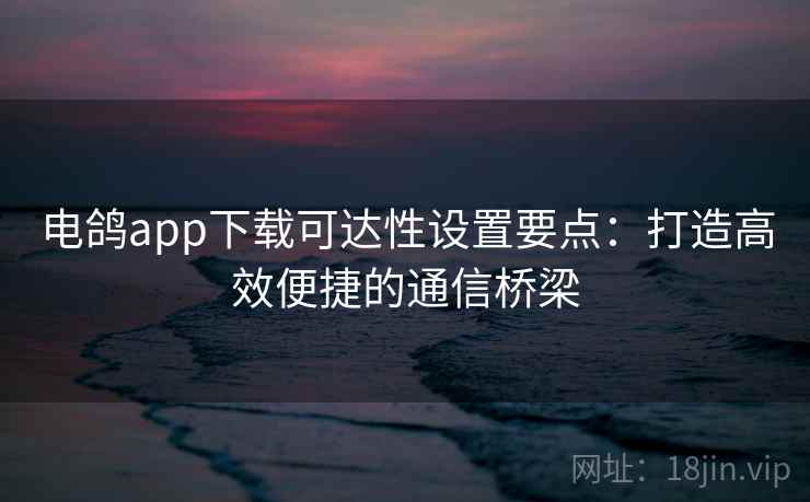 电鸽app下载可达性设置要点：打造高效便捷的通信桥梁