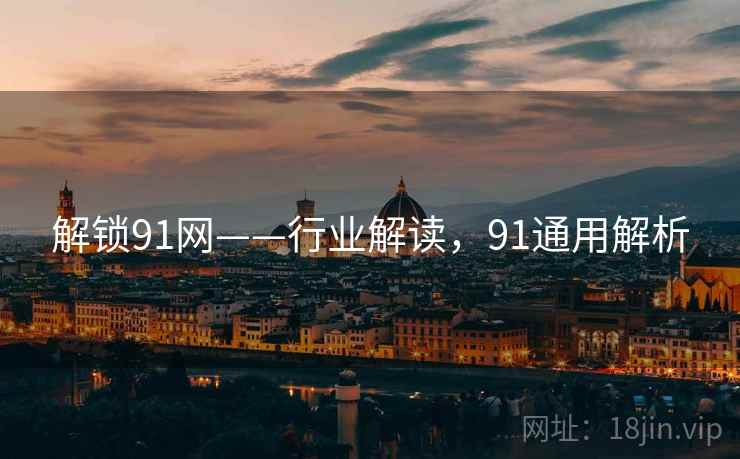 解锁91网——行业解读，91通用解析